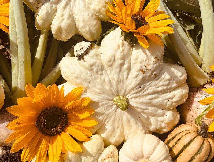 <h1>GET YOU AND YOUR </h1><h1>PLOT READY FOR AUTUMN</h1>
