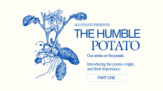 Allotmate presents: the humble potato -Introducing the potato, origin, and their importance - part one 