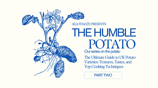 The Ultimate Guide to UK Potato Varieties: Textures, Tastes, and Top Cooking Techniques