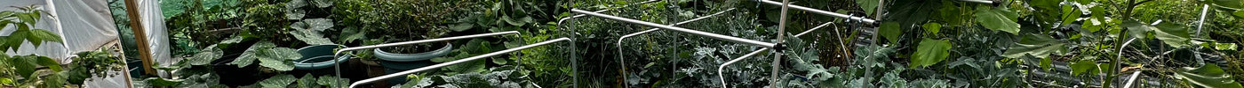 Allotment Growing - AllotMate Essentials