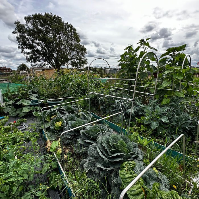 Allotment Growing - AllotMate Essentials