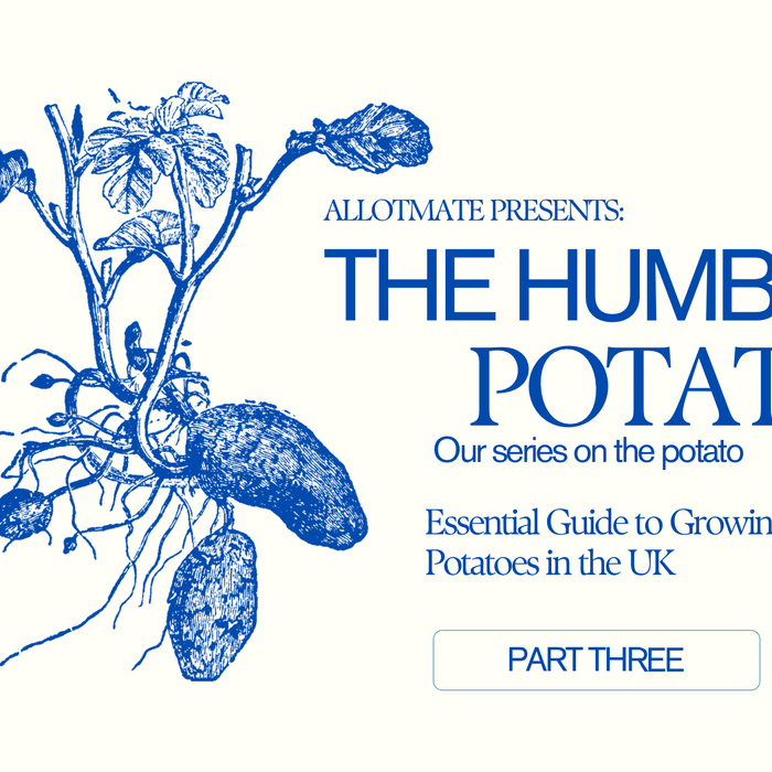 Essential Guide to Growing Potatoes in the UK - AllotMate Essentials