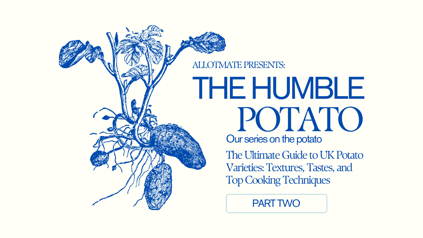 The Ultimate Guide to UK Potato Varieties: Textures, Tastes, and Top Cooking Techniques - AllotMate Essentials