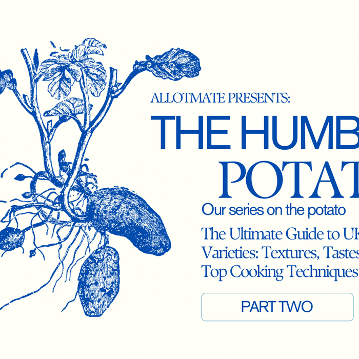 The Ultimate Guide to UK Potato Varieties: Textures, Tastes, and Top Cooking Techniques - AllotMate Essentials
