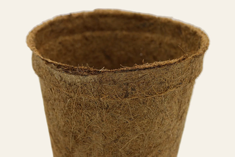 10cm plant pot 10cm Coir Plant Pots – 100% Biodegradable Pots & Peat-Free | Starter Pots | CoirProducts | CoirProducts