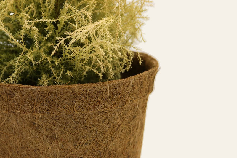 10cm plant pots 10cm Coir Plant Pots – 100% Biodegradable Pots & Peat-Free | Starter Pots | CoirProducts | CoirProducts