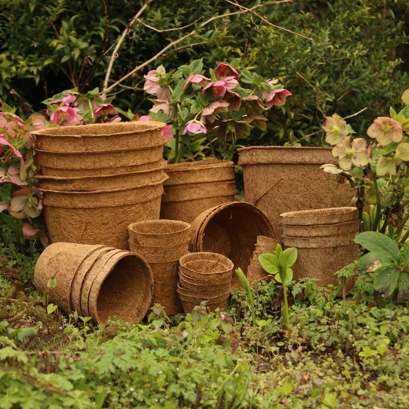 where can i get free plant pots 13cm Coir Plant Pots – 100% Biodegradable Pots & Peat-Free 1L | Ideal for Sowing & Growing | CoirProducts