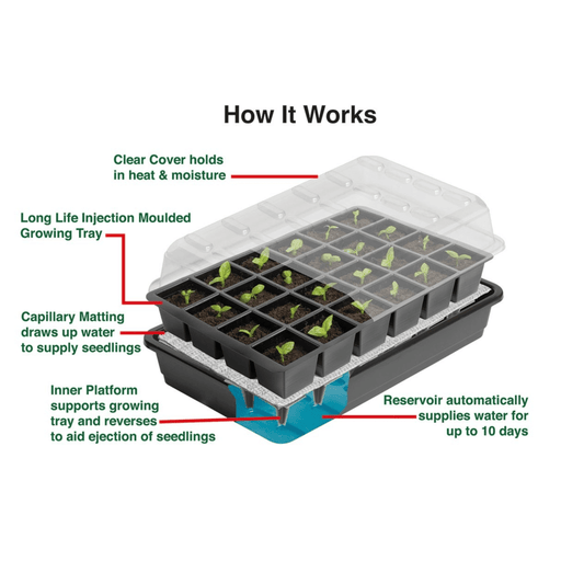 12 Cell Self Watering Seed Success Kit Propagator with Capillary Matting | Seed Propagator Kit | 5031670003126 5031670003126 | AllotMate Essentials