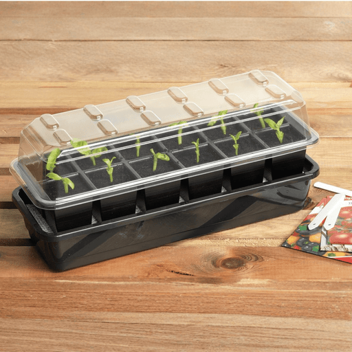 12 Cell Self Watering Seed Success Kit Propagator with Capillary Matting | Seed Propagator Kit | 5031670003126 5031670003126 | AllotMate Essentials
