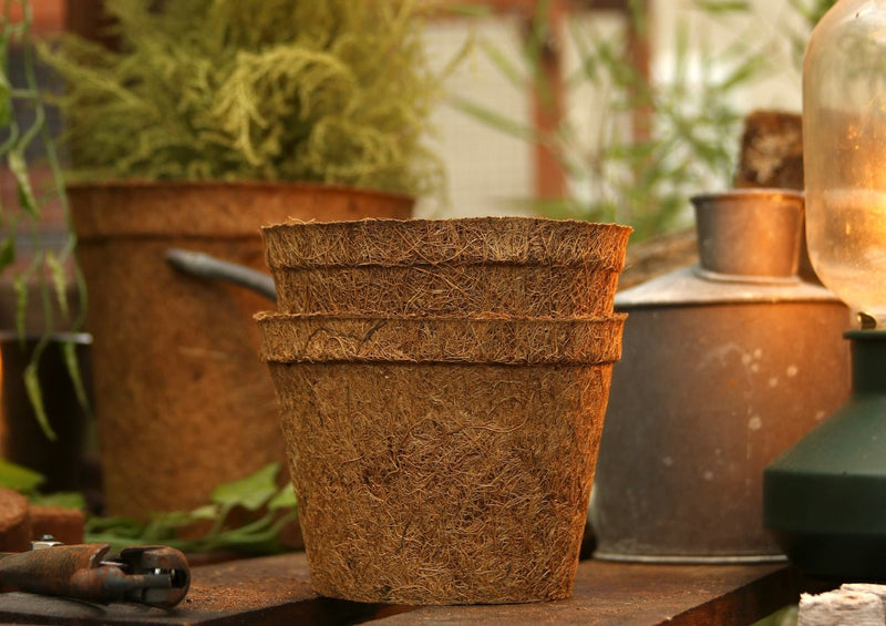 biodegradable coir plant pots 13cm Coir Plant Pots – 100% Biodegradable Pots & Peat-Free 1L | Ideal for Sowing & Growing | CoirProducts