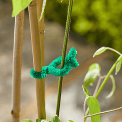 15cm SofTies 50 Pack, Soft Plant Ties for Delicate Stems and Support