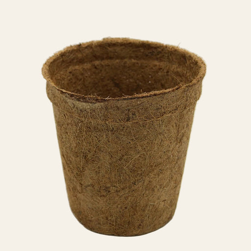 17cm Coir Plant Pots – 100% Biodegradable Pots & Peat - Free | Ideal for Growing On | Plant pot | 5060861940650 5060861940650 | AllotMate Essentials