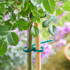 18cm AdjustaTies 50 Pack, Adjustable Plant Ties with Locking Design for Secure Support