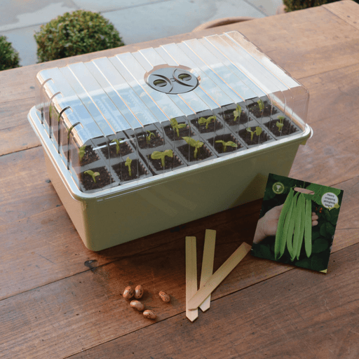 28 Cell Deep Root Seed Success Kit, Deep Cell Propagator for Long Rooted Plants | Unheated Propagation | 5031670004208 5031670004208 | AllotMate Essentials