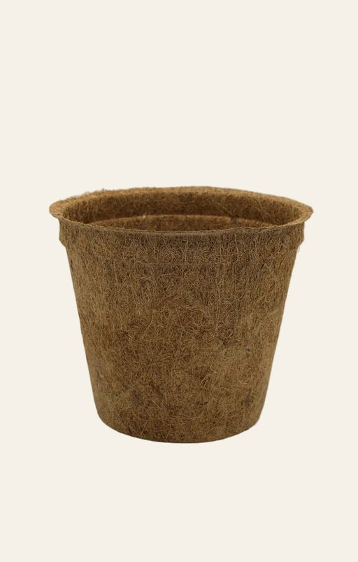 28cm Coir Plant Pots – 100% Biodegradable Pots & Peat - Free | For Bigger Plants | Plant pot | 23247378 23247378 | AllotMate Essentials