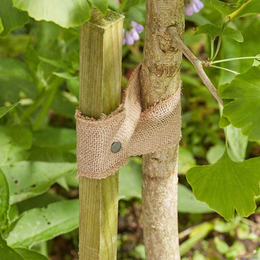 5.5m JuteWeb Tree Tie Natural Biodegradable Plant Support and Craft Jute | Plant Tie | 5050642100533 5050642100533 | AllotMate Essentials