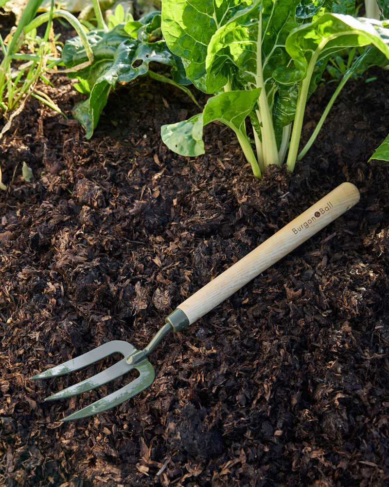 BoronGreen Mid Handled Fork RHS FSC 100%