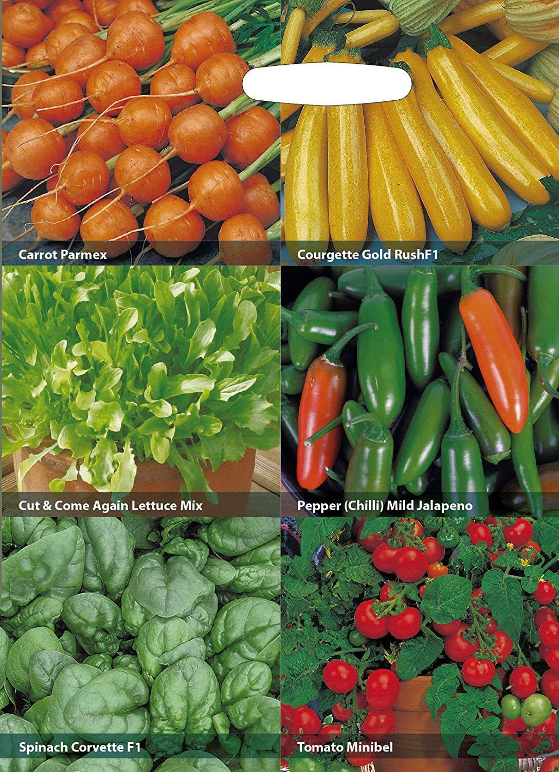 RHS Vegetables for Easy Growing Seed Collection