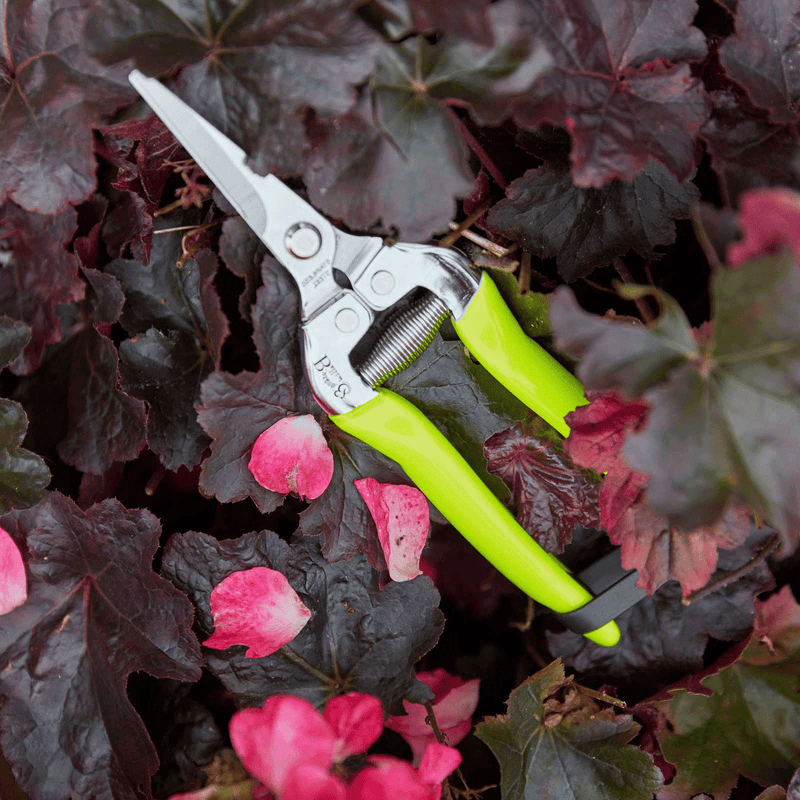 FloraBrite® Fluorescent Flower & Fruit Snips – Precision Trimming Tool in Pink or Yellow | Burgon & Ball