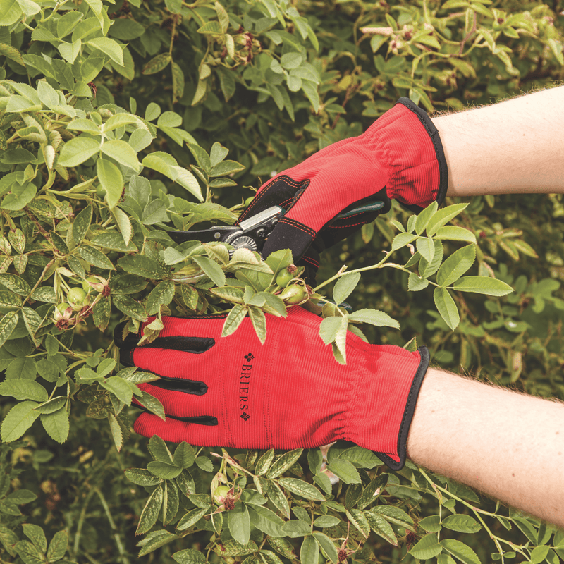 Advanced Flex & Protect M8: medium-sized padded gardening gloves with knuckle protection for impact-prone jobs | Professional Gloves | 5050642051651 5050642051651 | AllotMate Essentials