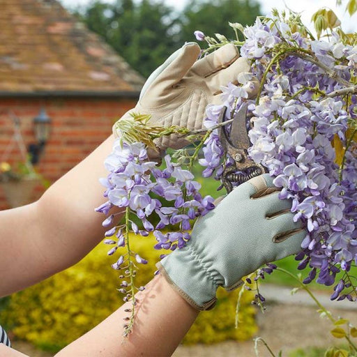 Advanced Performance Gardening Gloves S M L | Gardening Gloves | 4540030 5050642088756 | AllotMate Essentials