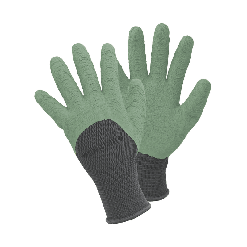 All Seasons Gardening Gloves, Medium, Sage | Gardening Gloves | 4560002 5050642050623 | AllotMate Essentials
