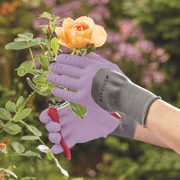 All Seasons Gardening Gloves, Small, Heather | Gardening Gloves | 4560001 5050642050616 | AllotMate Essentials