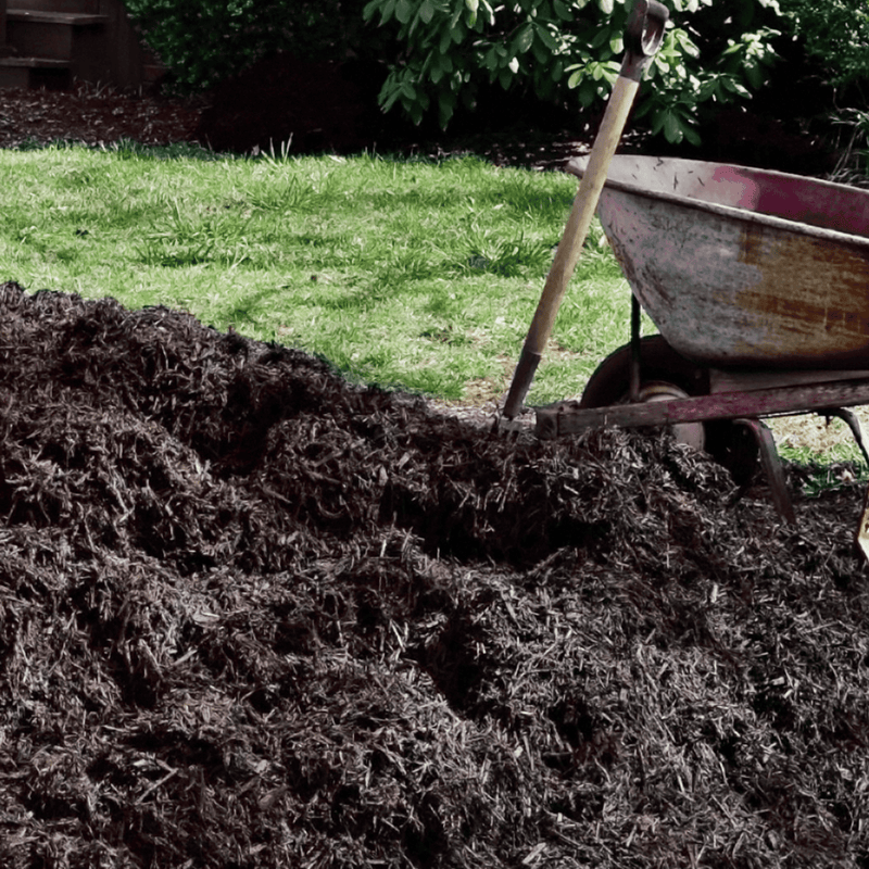 AutumnMix Compost Garden Mulch | Topsoil & Compost | DAMCJB Custom Product | AllotMate Essentials