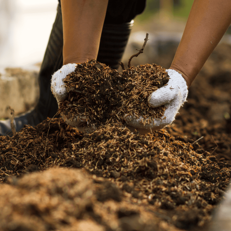 AutumnMix Compost Garden Mulch | Topsoil & Compost | DAMCJB Custom Product | AllotMate Essentials