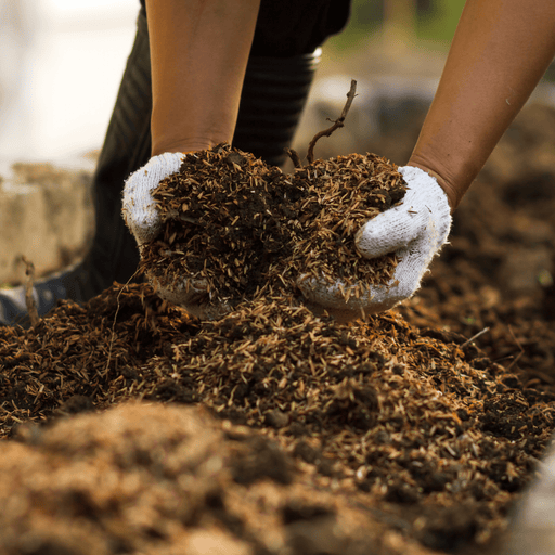 AutumnMix Compost Garden Mulch | Topsoil & Compost | DAMCJB Custom Product | AllotMate Essentials