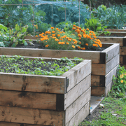 BedGrow® Raised Bed Welsh Topsoil Mix | Topsoil & Compost | DOPFRBTMJBB Custom Product | AllotMate Essentials