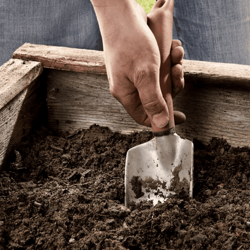 BedGrow® Raised Bed Welsh Topsoil Mix | Topsoil & Compost | DOPFRBTMJBB Custom Product | AllotMate Essentials