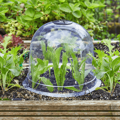 Bell Cloche Set, Pack of 3, 26 cm | Growhouses & Tunnels | 6513009 5050642078719 | AllotMate Essentials