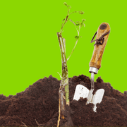 Bloom & Root® Rose Blend Topsoil | Topsoil & Compost | BRRBJB  | AllotMate Essentials