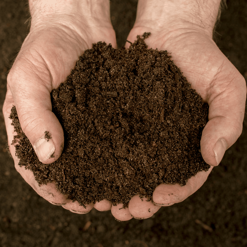 Bordermix® Welsh Topsoil for plants and flowers | Topsoil & Compost | DBMTSBB 5061103460097 | AllotMate Essentials