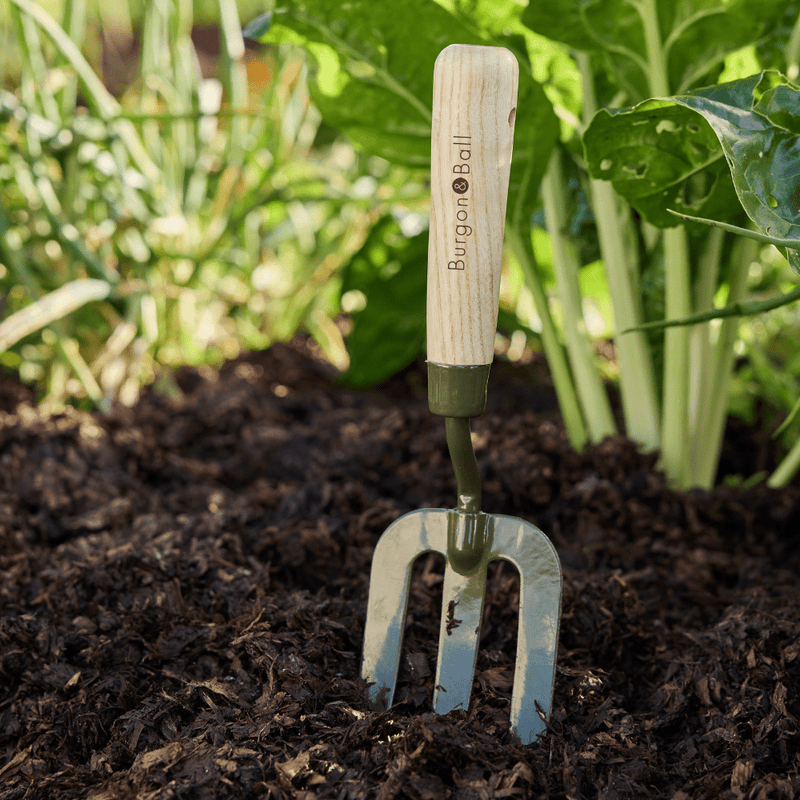 BoronGreen Hand Fork RHS FSC 100% | Fork | GBO/BHFRHS 5019360204381 | AllotMate Essentials