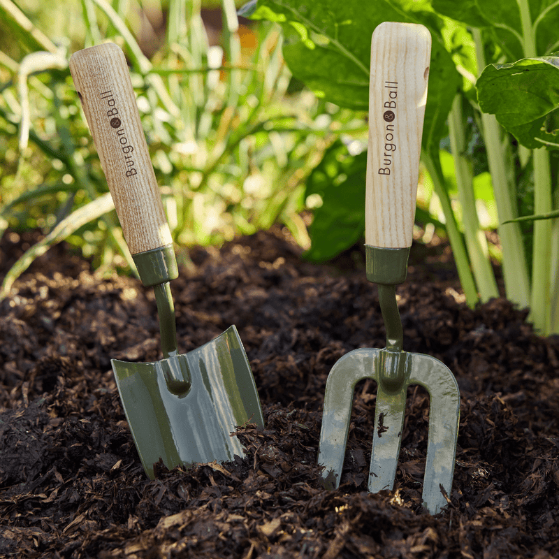 BoronGreen Hand Fork RHS FSC 100% | Fork | GBO/BHFRHS 5019360204381 | AllotMate Essentials