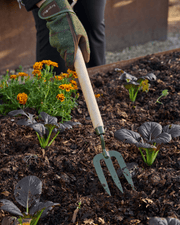 BoronGreen Mid Handled Fork RHS FSC 100% | Mid Handled Fork | GBO/BHFMHRHS 5019360204350 | AllotMate Essentials