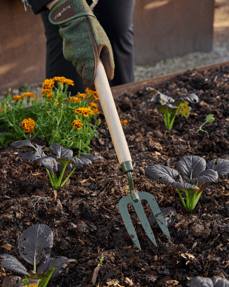 BoronGreen Mid Handled Fork RHS FSC 100% | Mid Handled Fork | GBO/BHFMHRHS 5019360204350 | AllotMate Essentials