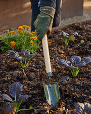 BoronGreen Mid Handled Trowel RHS FSC 100% | Trowel | GBO/BHTMHRHS 5019360204343 | AllotMate Essentials
