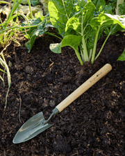 BoronGreen Mid Handled Trowel RHS FSC 100% | Trowel | GBO/BHTMHRHS 5019360204343 | AllotMate Essentials