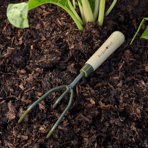 BoronGreen RHS Claw Cultivator | Cultivator | GBO/BCCRHS 5019360204404 | AllotMate Essentials