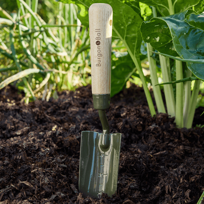 BoronGreen Transplanter RHS FSC 100% | Transplanter | GBO/BTPRHS 5019360204374 | AllotMate Essentials