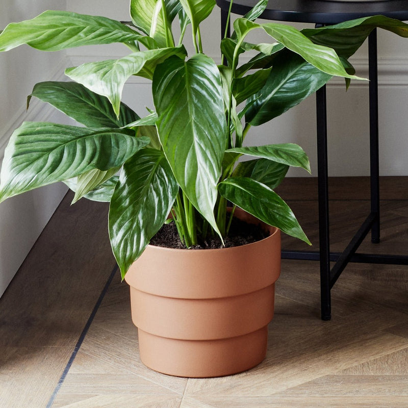 Boston Tiered Planter H18cm D21cm, Ceramic Plant Pot for Indoor and Outdoor Use | Plant pot | BTPT21  | AllotMate Essentials