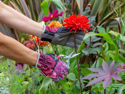 British Bloom Gardening Gloves – RHS Gift Collection | One Size by Burgon & Ball | Gardening Gloves | GRH/GLOVEBB 5019360014607 | AllotMate Essentials
