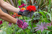British Bloom Gardening Gloves – RHS Gift Collection | One Size by Burgon & Ball | Gardening Gloves | GRH/GLOVEBB 5019360014607 | AllotMate Essentials