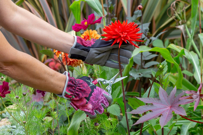 British Bloom Gardening Gloves – RHS Gift Collection | One Size by Burgon & Ball | Gardening Gloves | GRH/GLOVEBB 5019360014607 | AllotMate Essentials