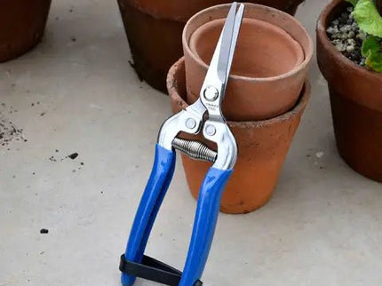 Burgon and Ball - British Meadow Flower and Fruit Snip - Flower & Fruit Snip - AllotMate Essentials - GRH/SNIPBM