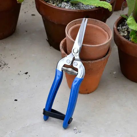 Burgon and Ball - British Meadow Flower and Fruit Snip - Flower & Fruit Snip - AllotMate Essentials - GRH/SNIPBM