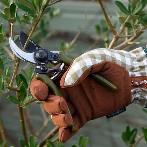 Collectors Micro Secateurs – Olive Green Precision Pruners | Burgon & Ball | Bypass Secateur | GCC/MPOLIVE 5019360204466 | AllotMate Essentials